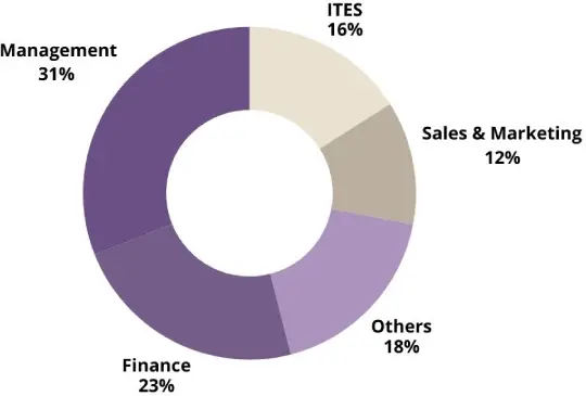 work-experience-pie-chart